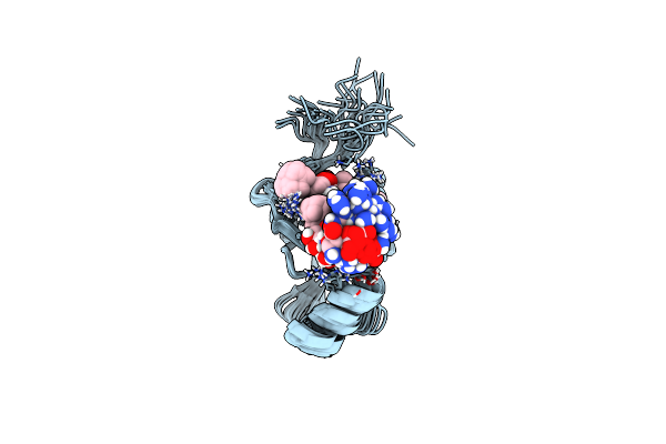 2JOA image