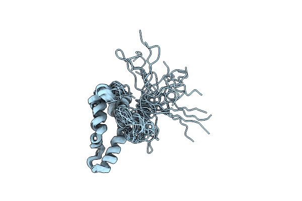 2JPF image