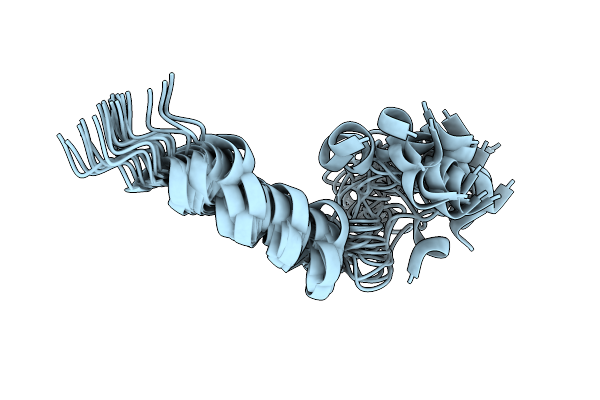 2JPK image