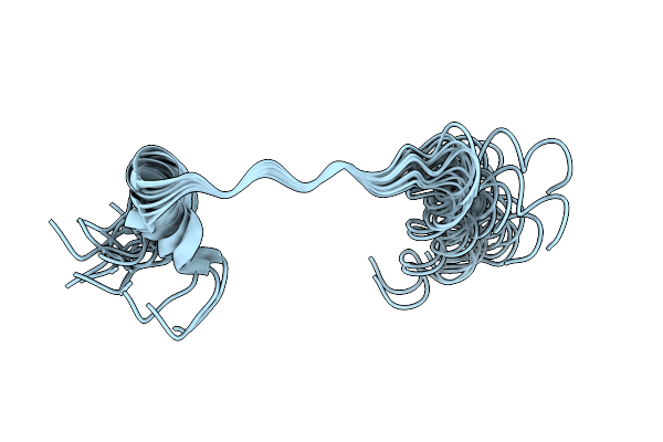 2JPW image