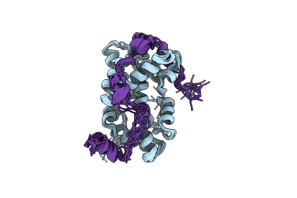 2JSS image