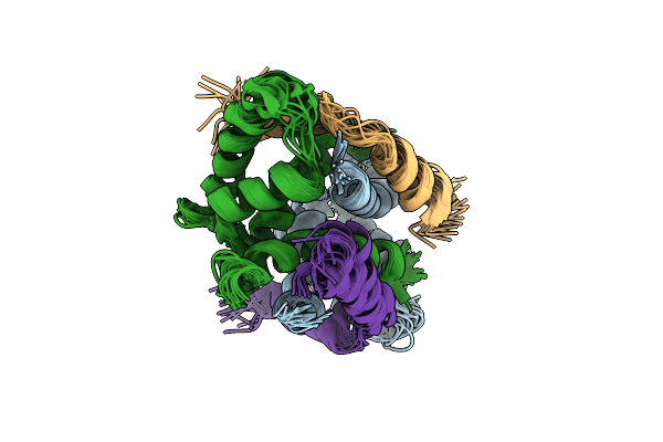 2JTT image