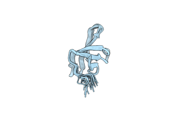 2JVV image