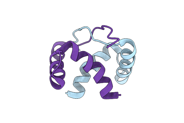 2JXG image