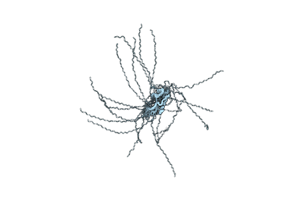 2JY9 image