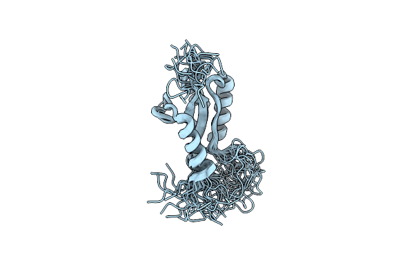 2K06 image