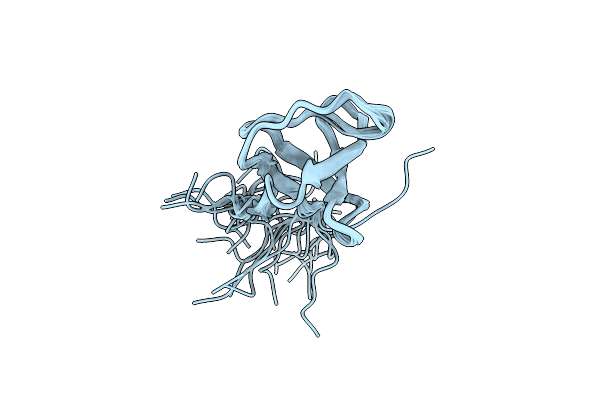 2K2M image