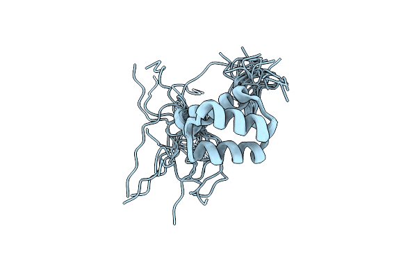 2K40 image