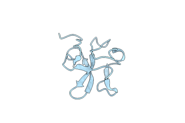 2K51 image