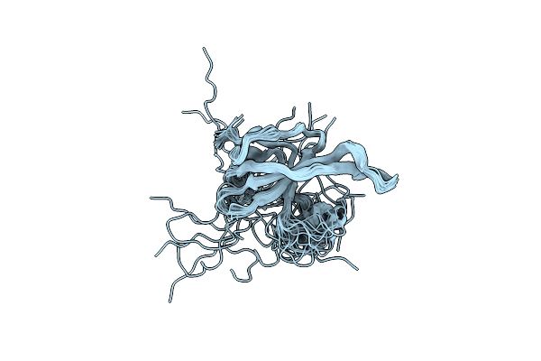 2K5D image