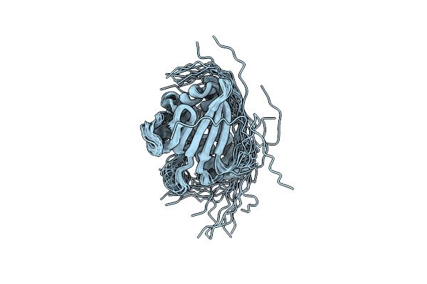 2K5G image