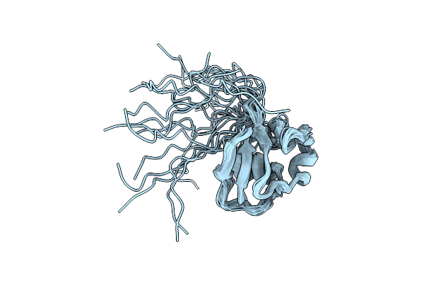 2K5P image