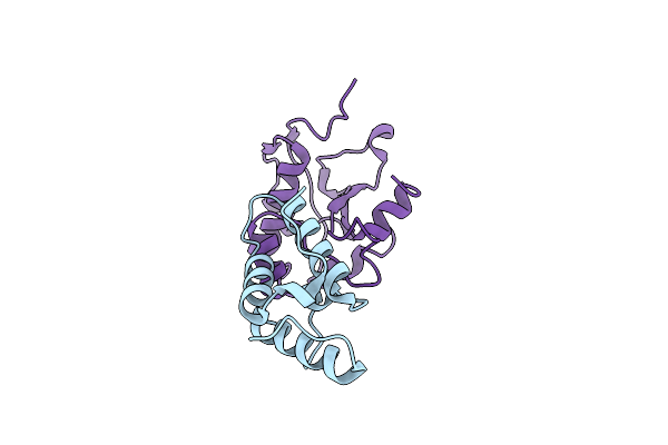 2K5X image