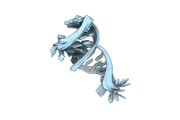 2K5Z image