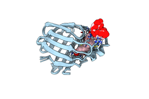 2K62 image