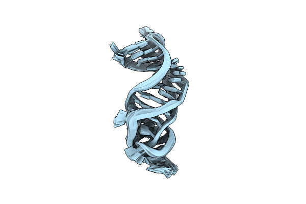 2K95 image