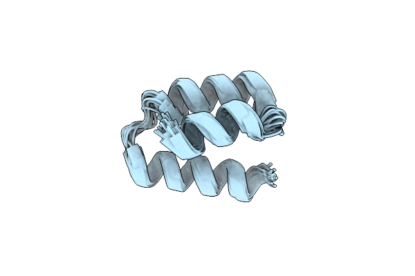 2K9D image
