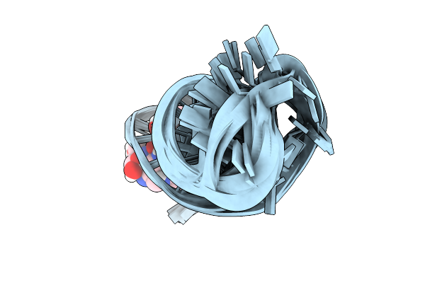 2KGP image