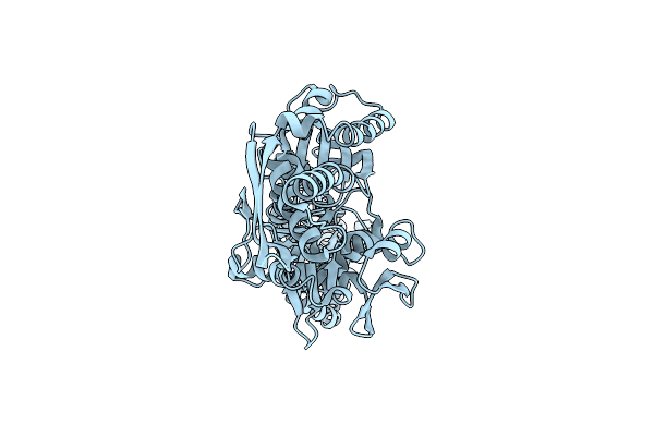 2KHO image