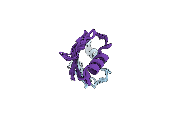 2KLK image
