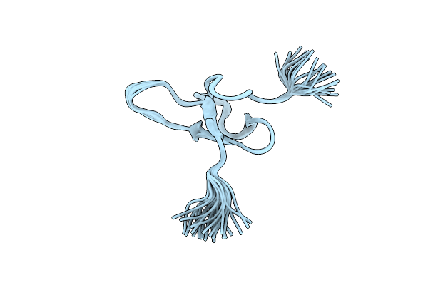 2KNI image