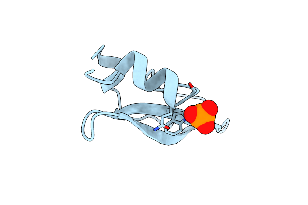 2KNT image