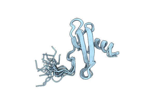 2KOL image