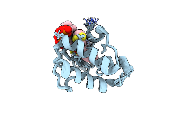 2KOP image