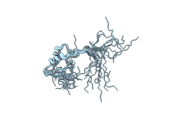 2KPM image