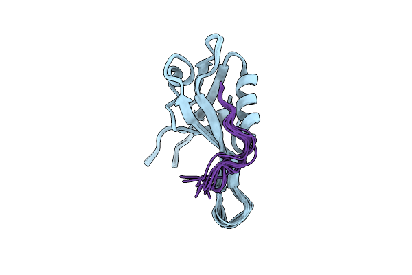 2KQF image
