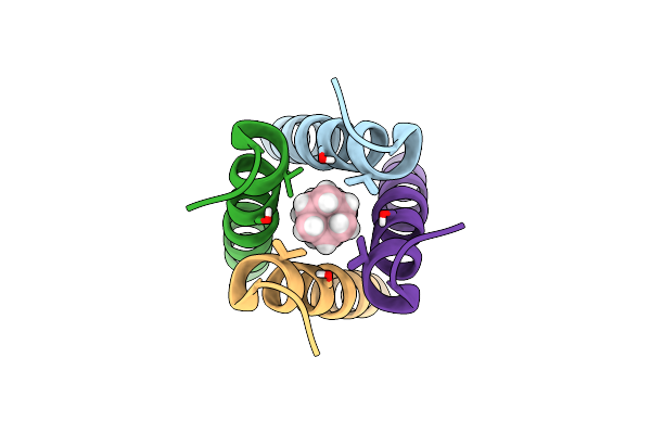 2KQT image