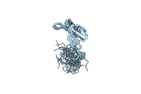 2KSK image