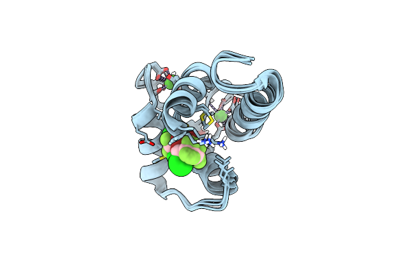 2KUG image