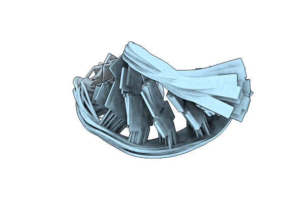 2KVN image