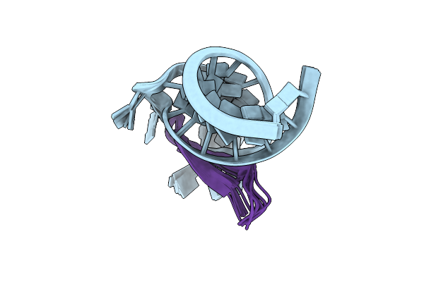 2KX5 image