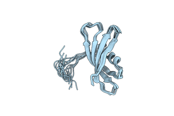 2KXG image