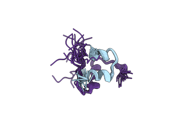 2KXK image