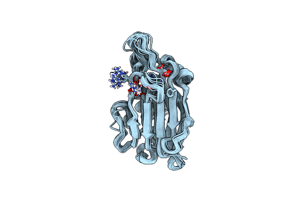 2KXV image