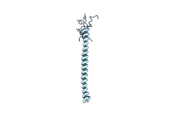 2KZ9 image