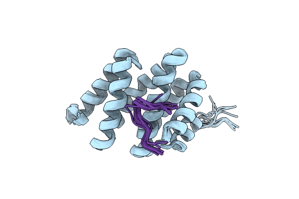 2L0I image
