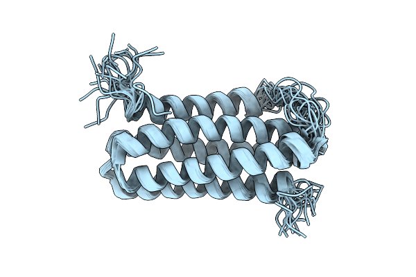 2L10 image