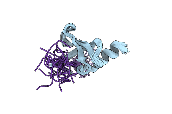 2L11 image