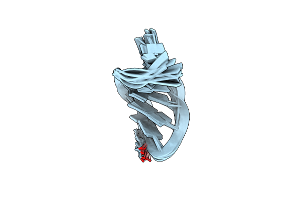 2L13 image