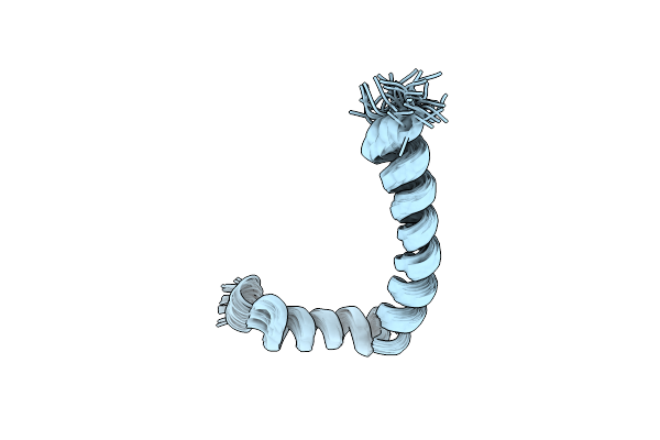 2L16 image