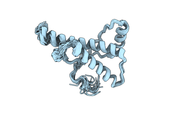 2L1H image