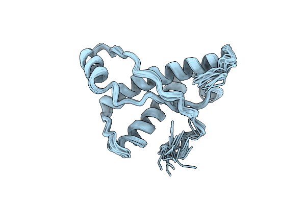 2L1K image