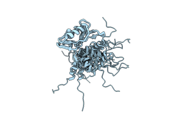 2L1M image