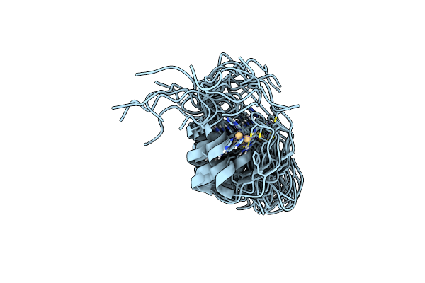 2L1O image