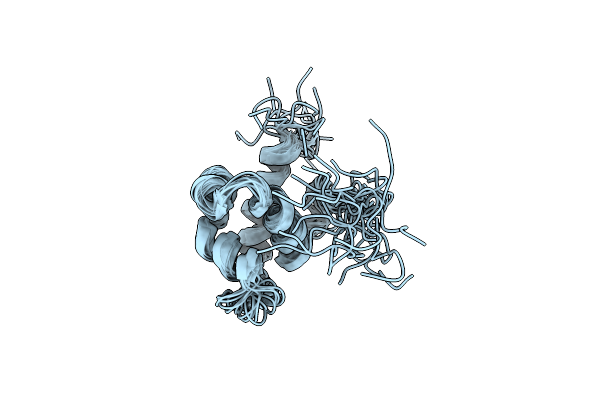 2L1P image