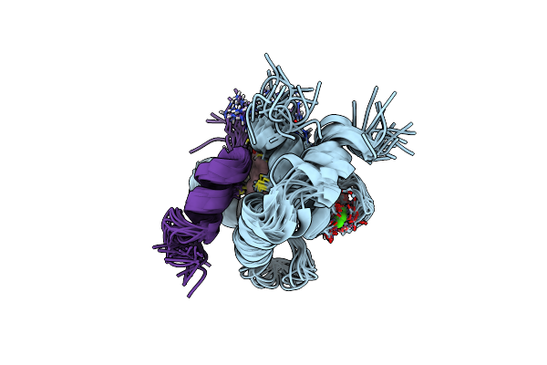 2L1R image